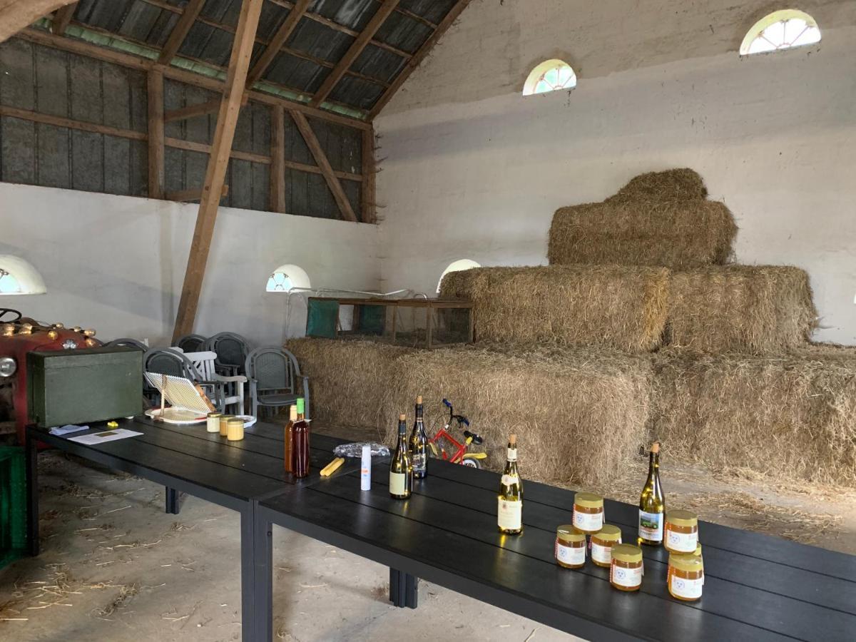 Bremsmaj Farm Kværs