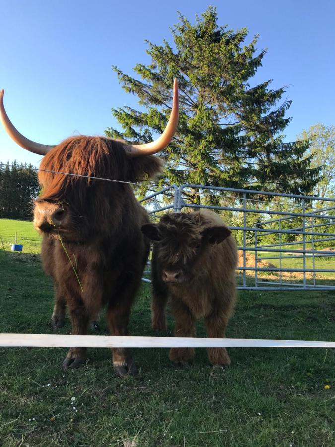 Bremsmaj Farm Pensjonat 2*
