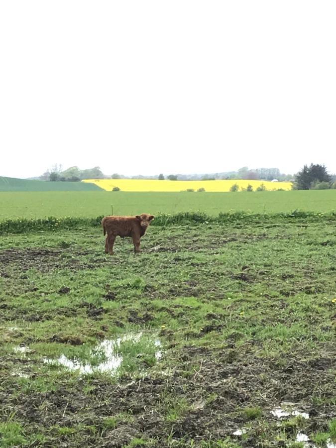 Gasthof Bremsmaj Farm 2*