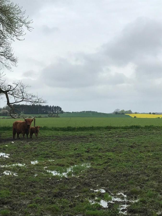 Bremsmaj Farm Kværs
