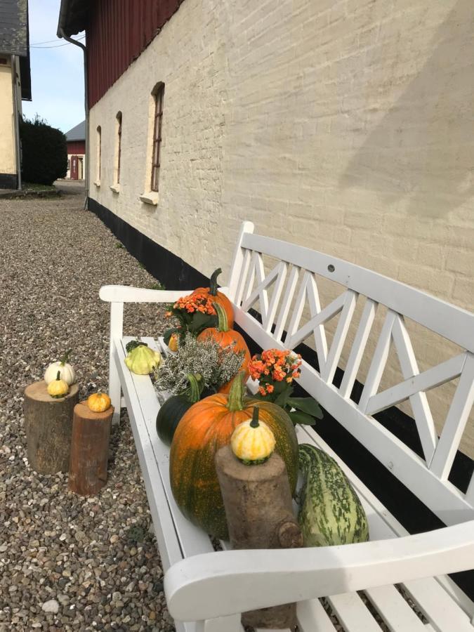 Bremsmaj Farm 2* Kvaers